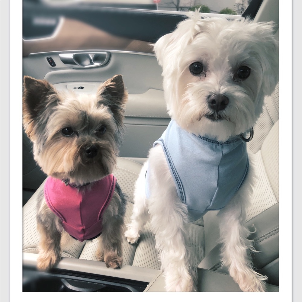 Meet your Posher, Jennifer